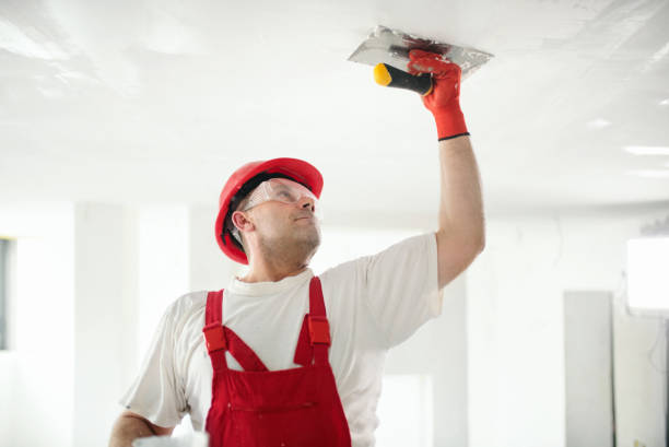 Best Interior Painting  in Harbison Nyon, CA